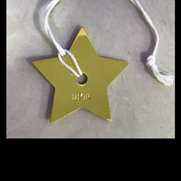 Dior Homme Gold Star Bee Pebble Bag/Gold Tone Metal Star - Picture 3 of 13